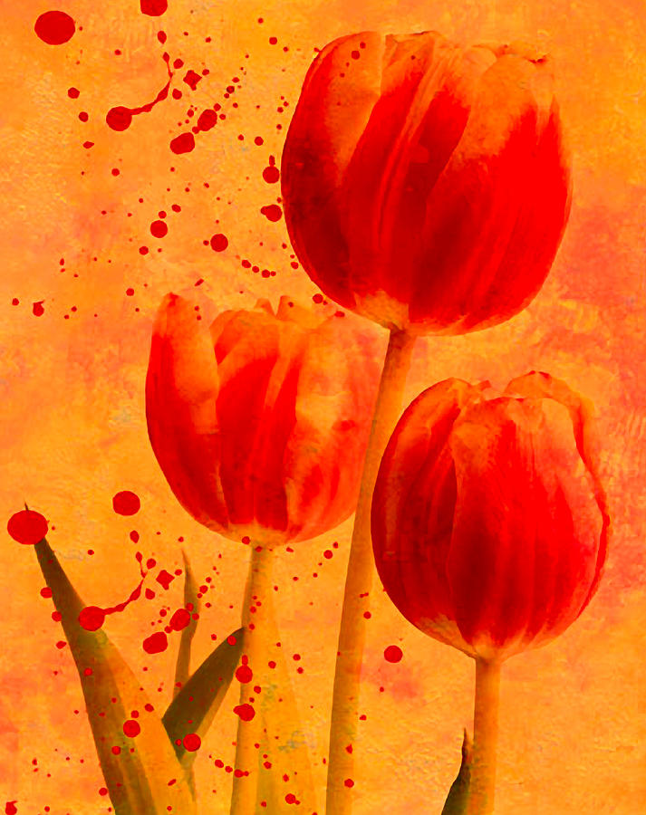 Red Tulips Photograph by James Bethanis