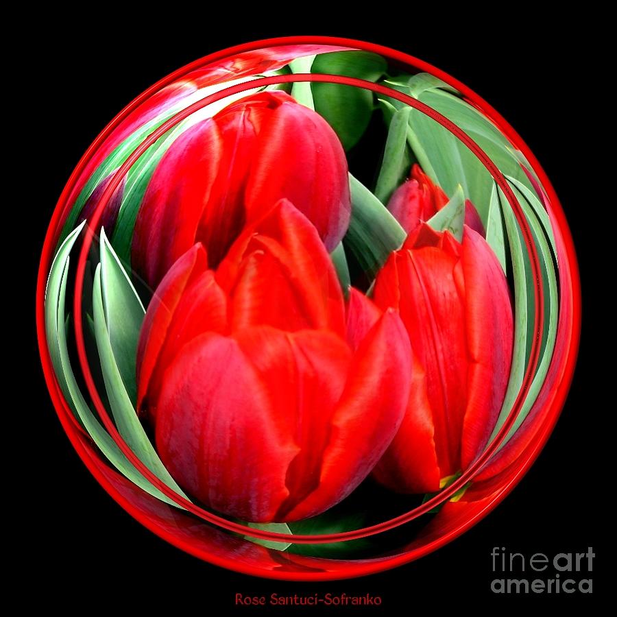 Red Tulips Under Glass Photograph by Rose Santuci-Sofranko