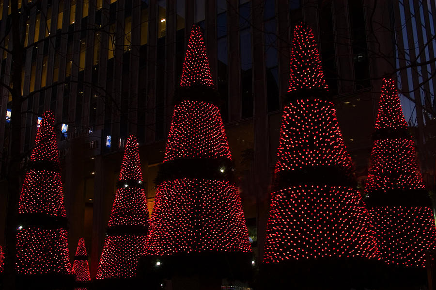 Red Urban Christmas Trees Photograph By Diane Lent - Fine Art America