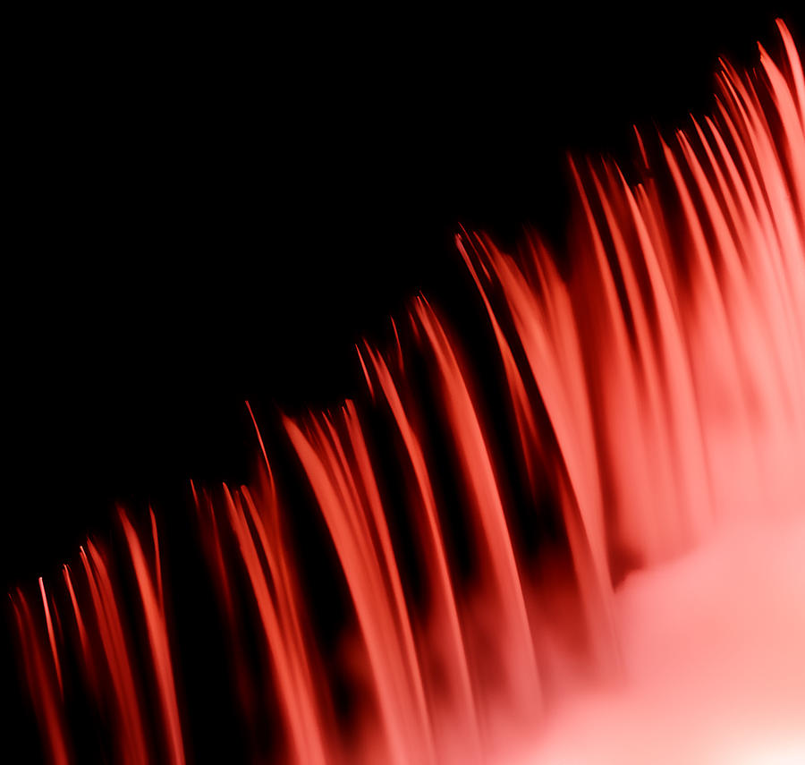 Red Veil  Photograph by Steven Milner