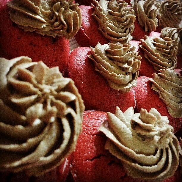 Red Velvet With Nutella Buttercream Photograph by Rohaya Yacob