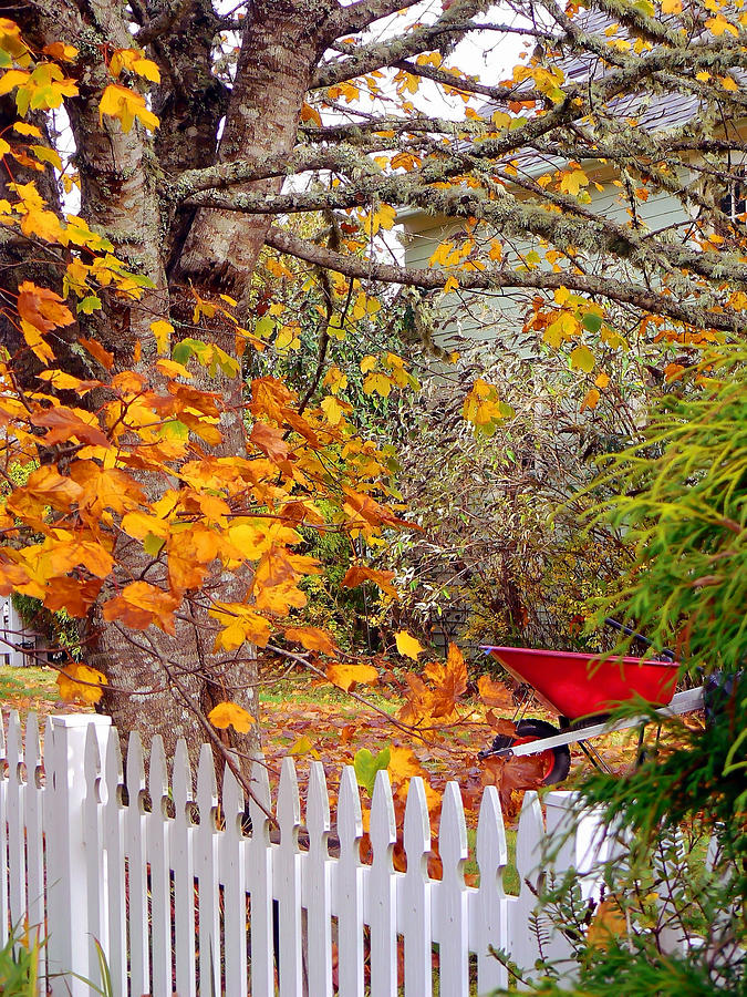 Fall Photograph - Red Wheelbarrow by Pamela Patch