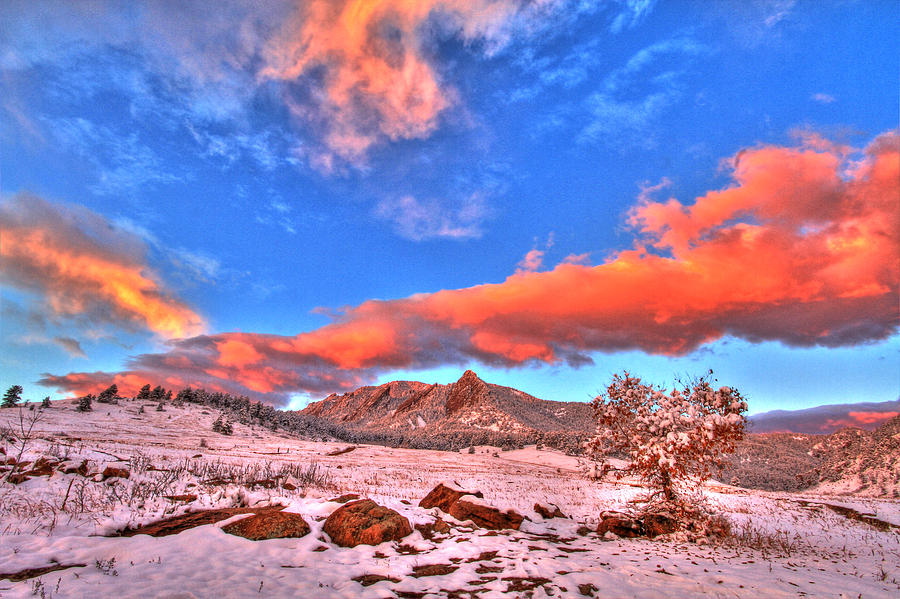 Red White and Blue Winter Photograph by Scott Mahon