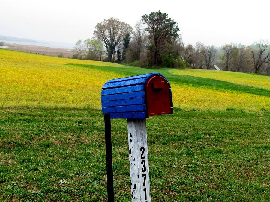 Red White Blue Mailbox Photograph by Trish Clark - Fine Art America