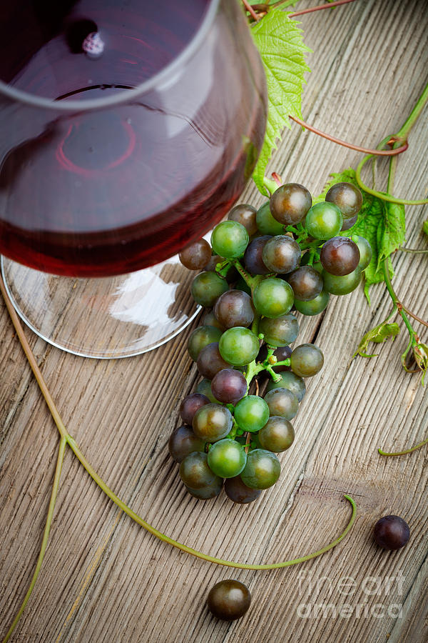 Red wine with grapes Photograph by Kati Finell