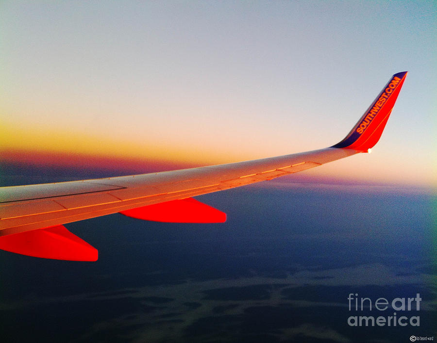 Red Winged Flight Photograph by Lizi Beard-Ward