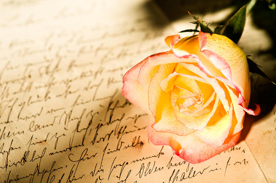 Red yellow rose over a hand written letter Photograph by U Schade