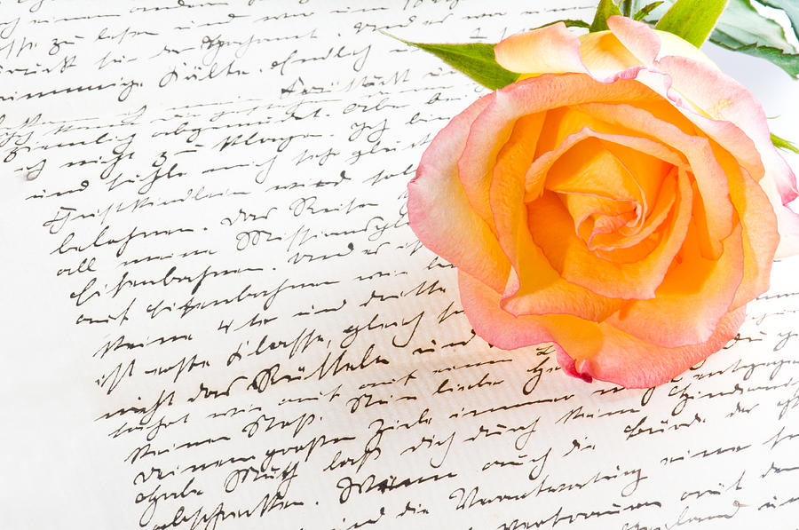 Red yellow rose over a hand written love letter Photograph by U Schade