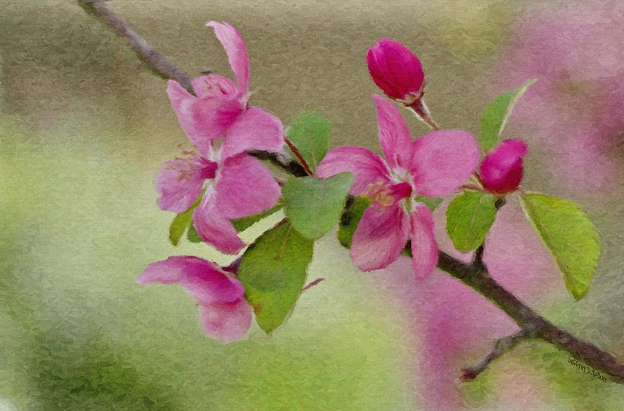 Spring Painting - Redbud Branch by Jeffrey Kolker