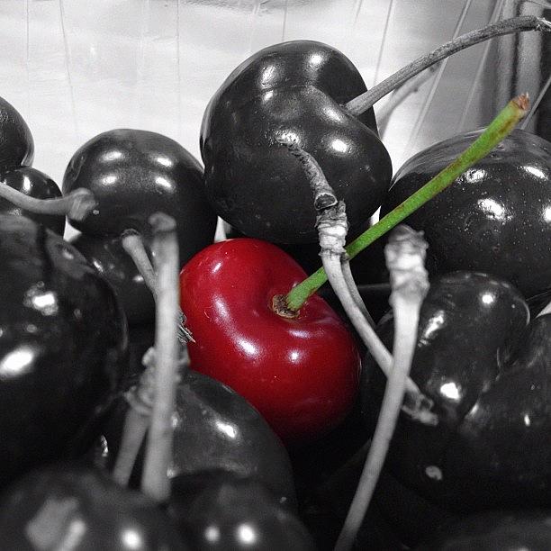 Fruit Photograph - #redthursday_summer #redthursday #red by Charlotte Lyons