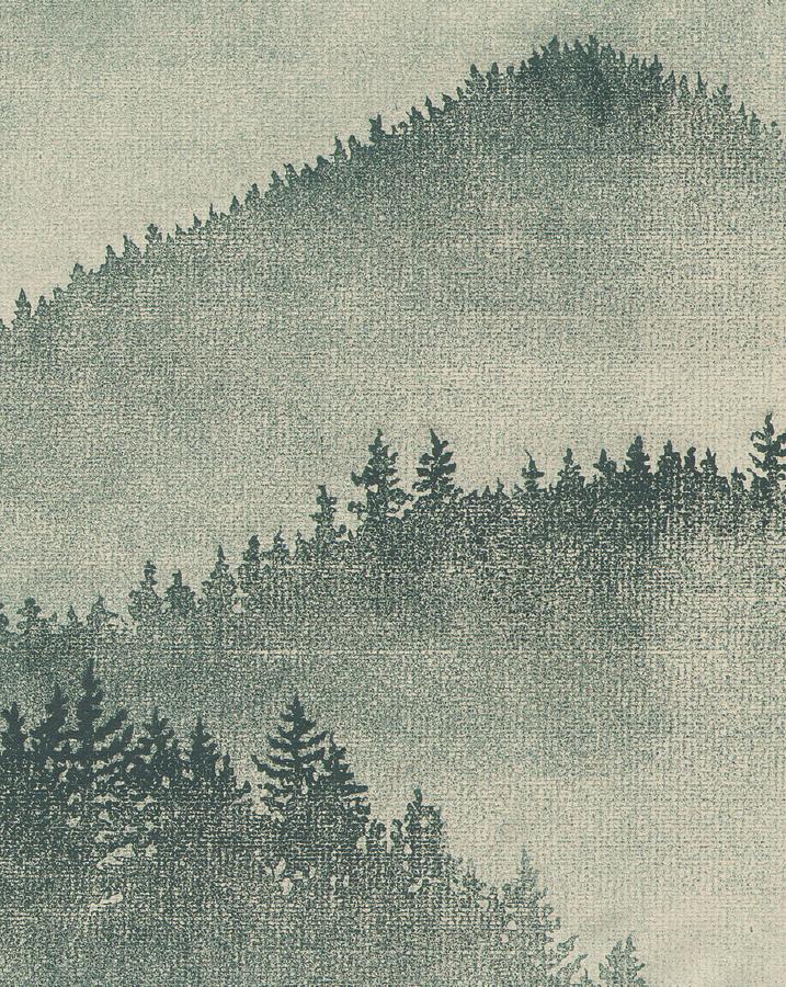 Tree Drawing - Redwood Mist by Sara Bell 