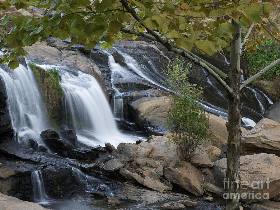 Reedy Falls II Photograph by David Waldrop