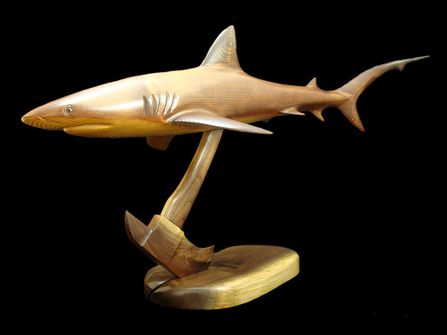 Reef Shark Sculpture - Reef Shark by Kjell Vistnes