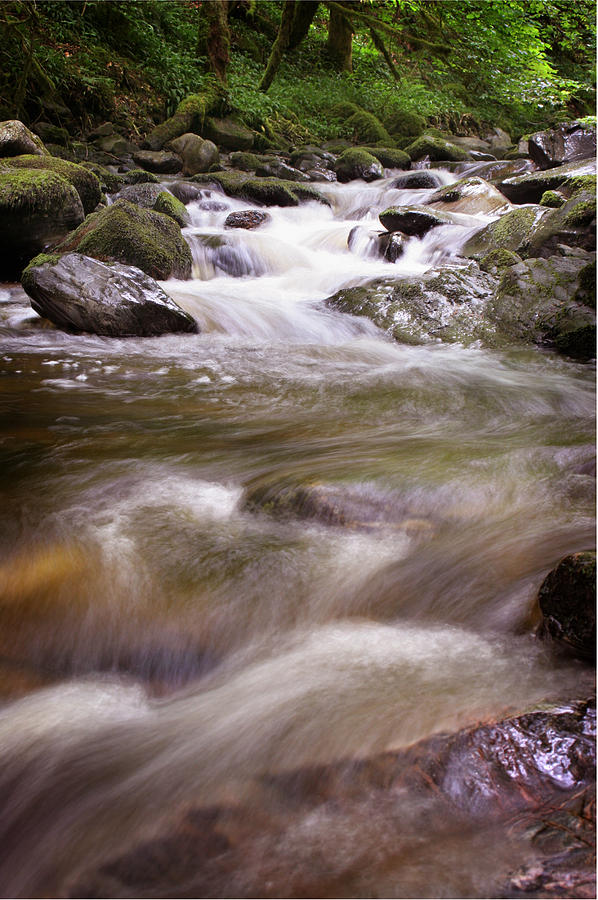 Reelig River Photograph by Joe Macrae