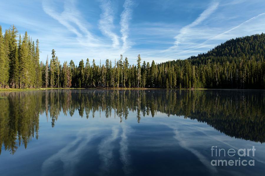 Reflecting Blue Photograph by Adam Jewell