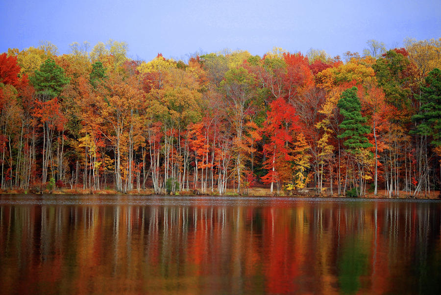 Fall Photograph - Reflecting on Time by Linda Mesibov