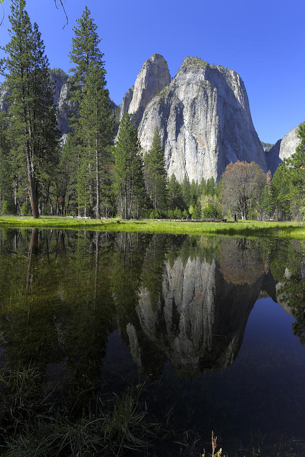 Yosemite National Park Photograph - Reflecting On Yosemite by Rick Berk