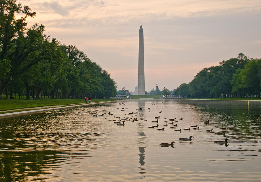 Reflecting Pool and Ducks Photograph by Jim Moore