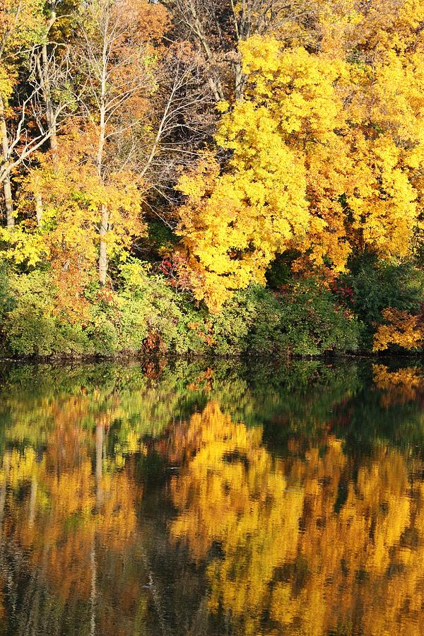 Nature Photograph - Reflecting Waters by Bruce Bley