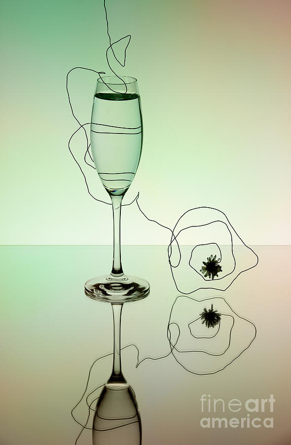 Wine Photograph - Reflection 02 by Nailia Schwarz