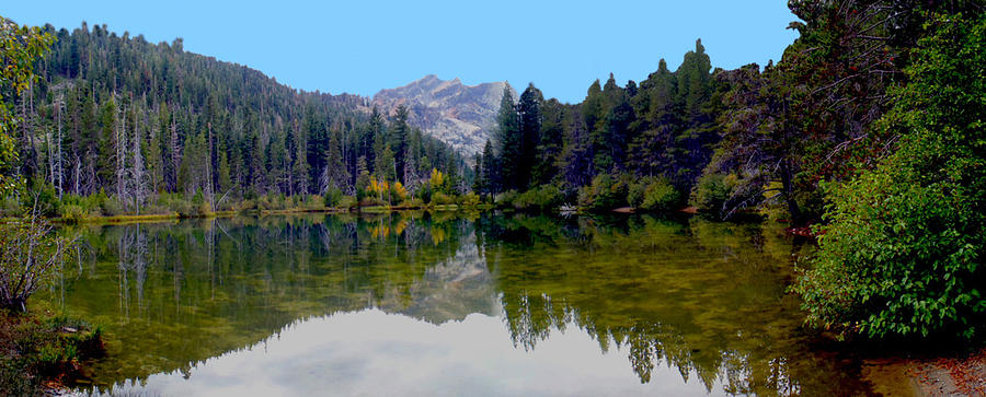 Nature Photograph - Reflection at the foot of Sierra Buttes by Tony and Kristi Middleton