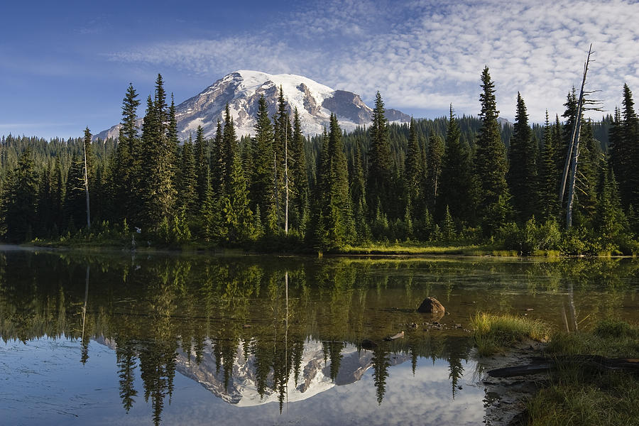 Reflection Lake And Mount Rainier Photograph by Konrad Wothe