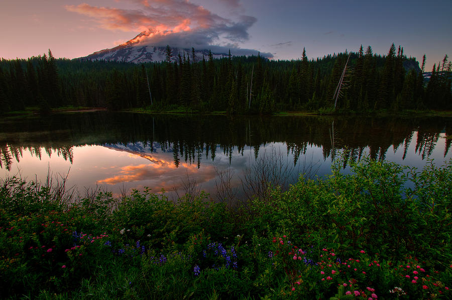 Reflection Lake Wildflowers Photograph by Dan Mihai