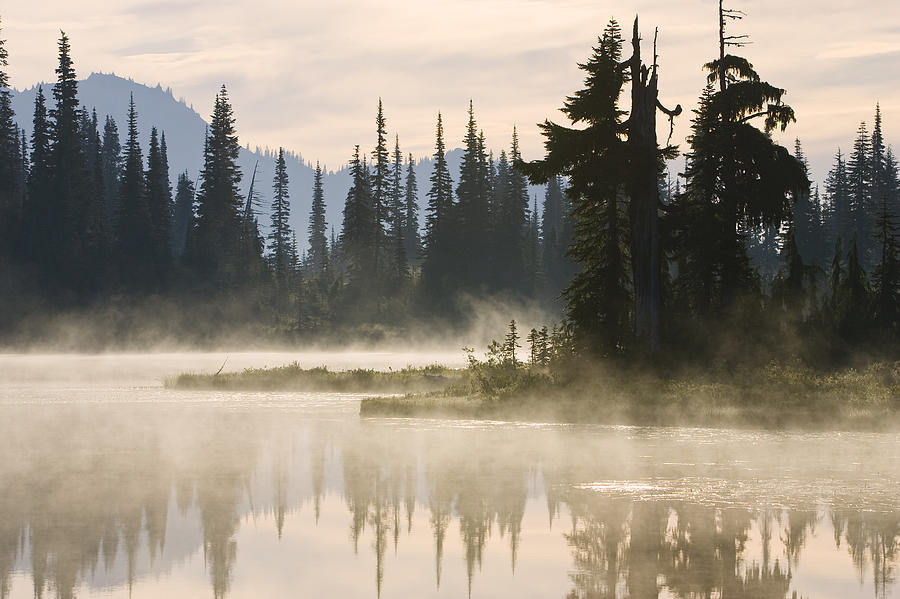 Reflection Lake With Mist, Mount Photograph by Konrad Wothe