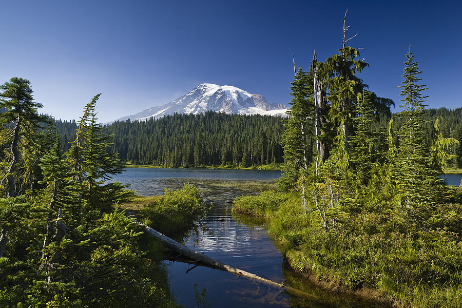 Reflection Lake With Mount Rainier Photograph by Konrad Wothe