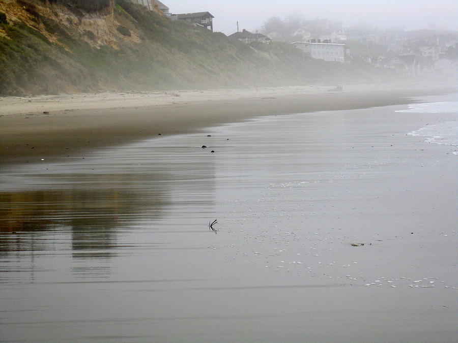 Beach Photograph - Reflection by Linda Hutchins