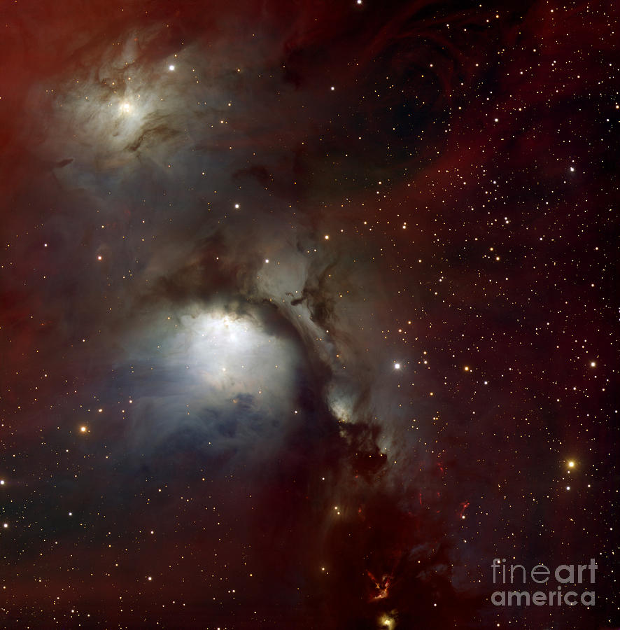 Reflection Nebula M78 Photograph by Travis Rector, UAA / Heidi Schweiker / WIYN / NOAO / AURA / NSF