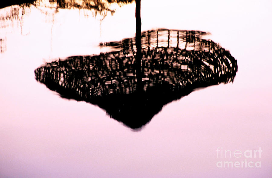 Turkey Photograph - Reflection Of A Parasol In The Water by Sami Sarkis