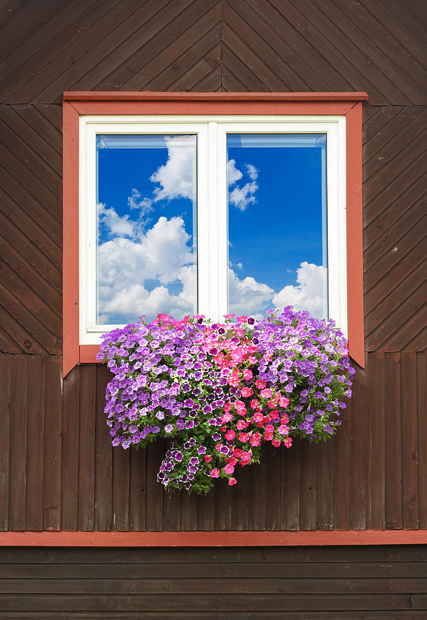 Flower Photograph - Reflection of the  sky in a window by Aleksandr Volkov