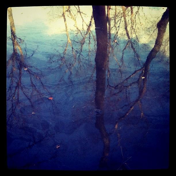 Tree Photograph - #reflection #water #trees by A Loving