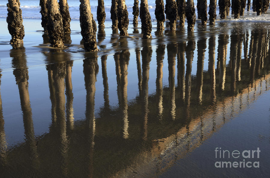 Reflections Avila Beach California Photograph by Bob Christopher