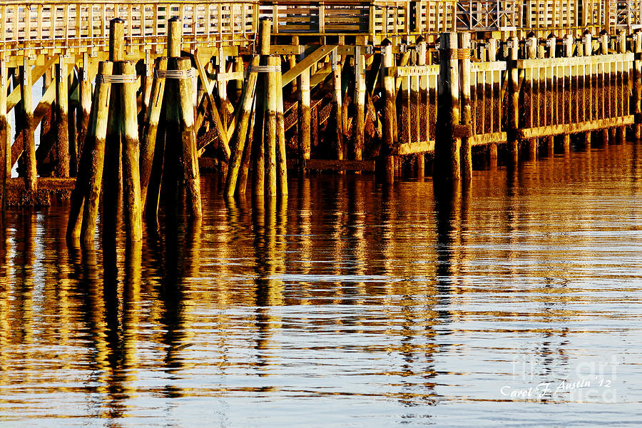 Reflections at the Pier Photograph by Carol F Austin