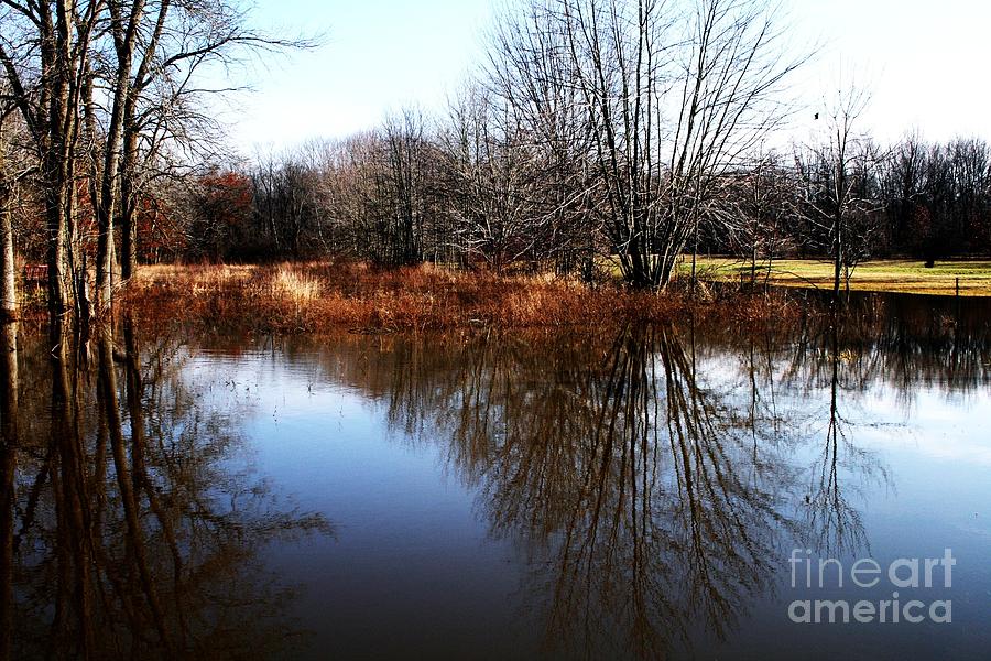 Reflections Photograph by Christina A Pacillo