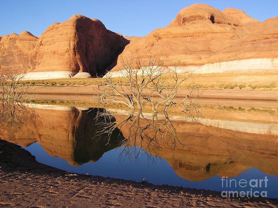 Reflections in Lake Powell Photograph by Michele Penner