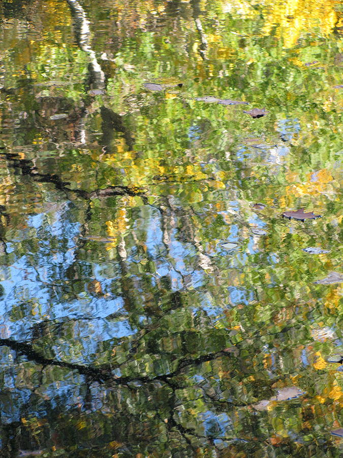 Reflections in Paradise 2 Photograph by Anita Burgermeister
