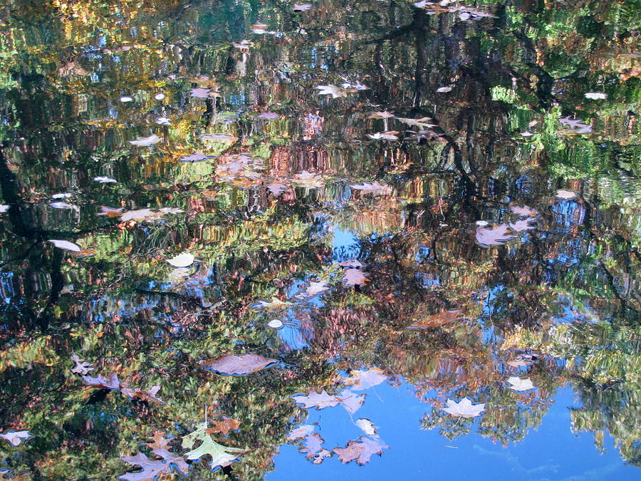 Reflections in Paradise 3 Photograph by Anita Burgermeister