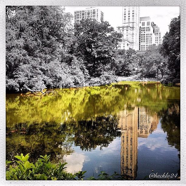 New York City Photograph - Reflections In The Park by Hector Lopez ✨