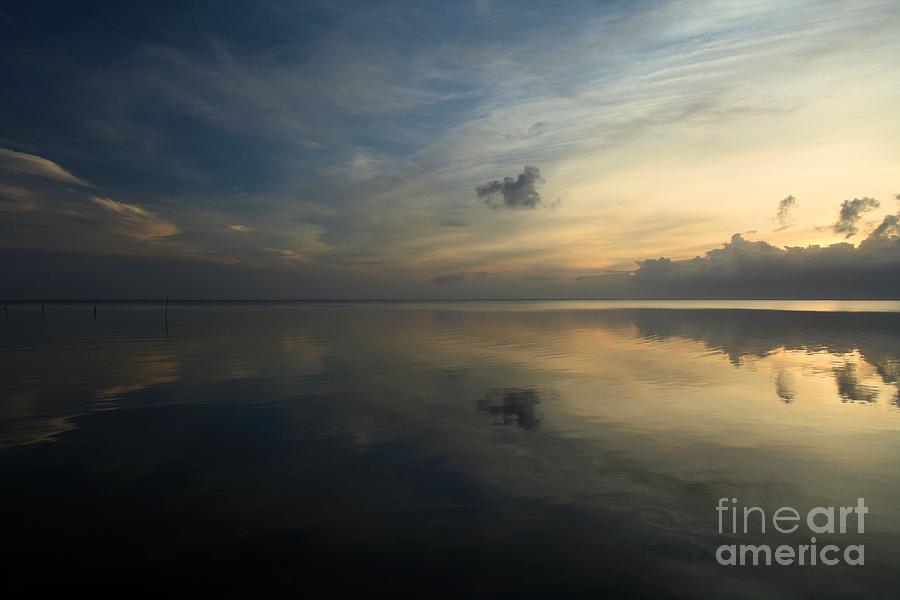 Reflections In The Sound Photograph by Adam Jewell