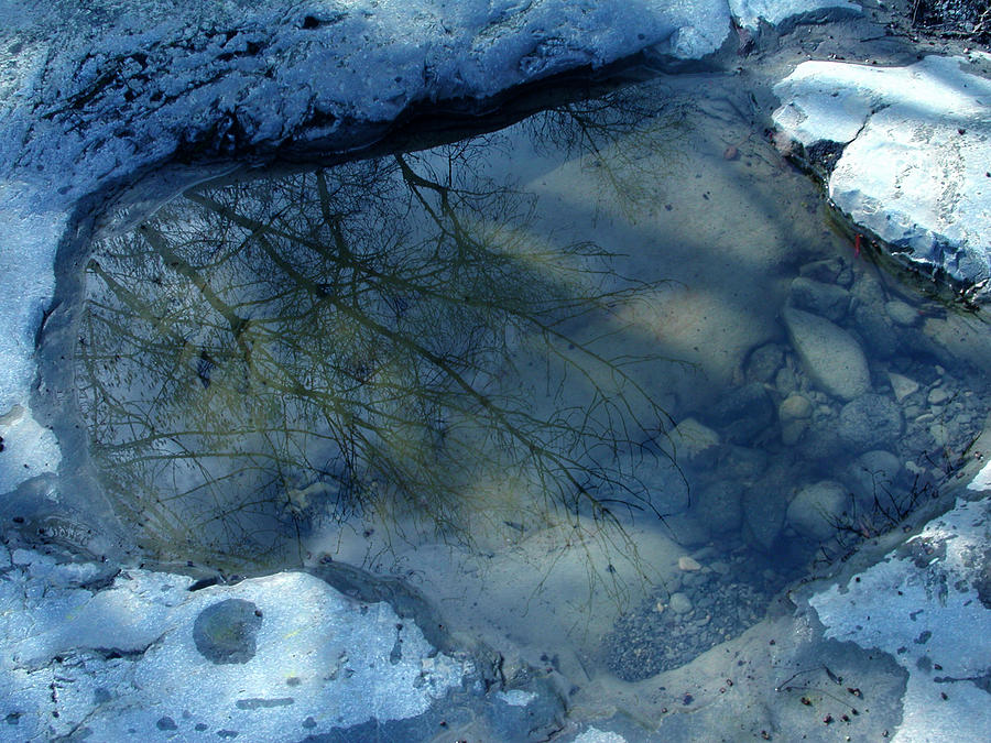 Reflections in water Photograph by Colette V Hera Guggenheim