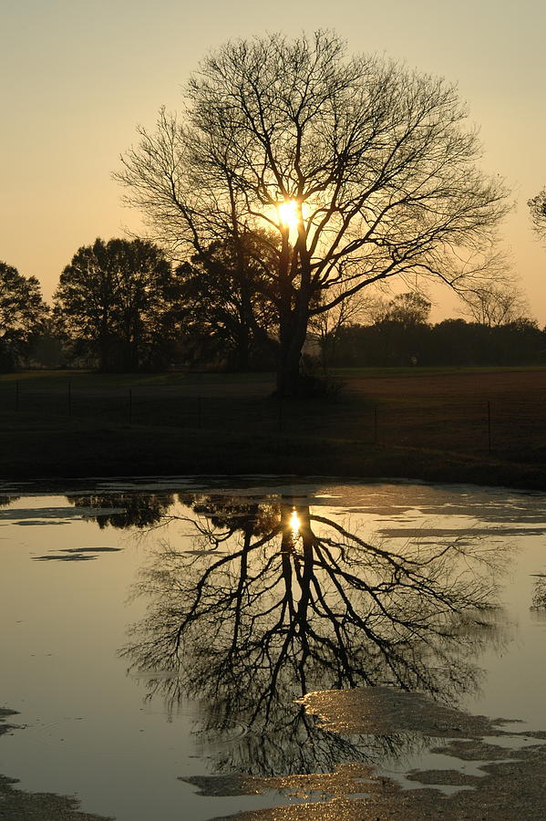 Sunset Photograph - Reflections by Kathryn Ory