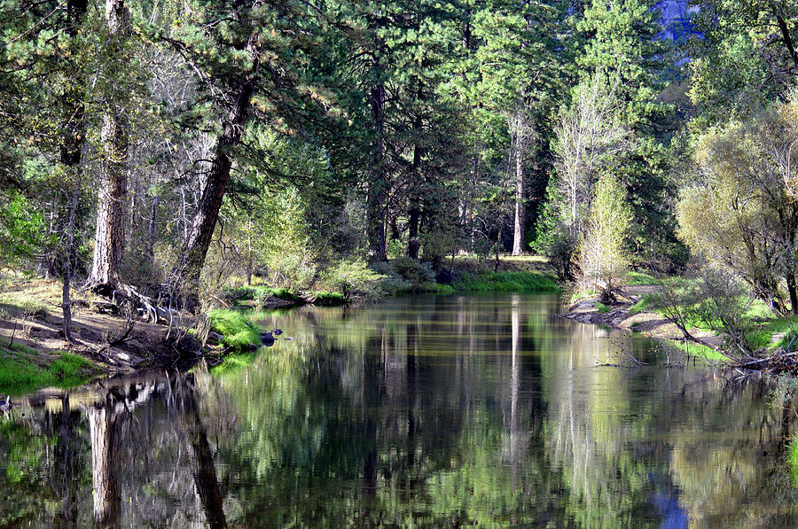 Yosemite National Park Photograph - Reflections by Lynn Bawden