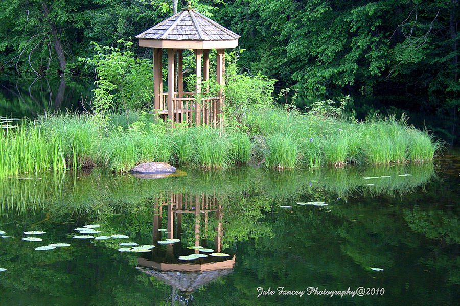 Reflections of a Gazebo Photograph by Jale Fancey