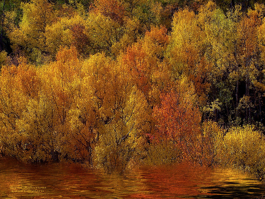 Reflections Of Autumn Mixed Media by Carol Cavalaris