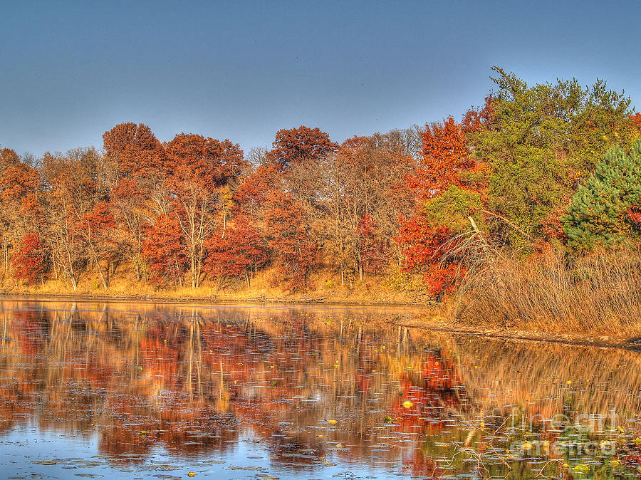 Reflections of Autumn Photograph by Jimmy Ostgard