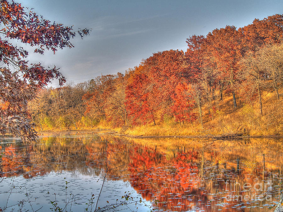 Reflections of Autumn V Photograph by Jimmy Ostgard