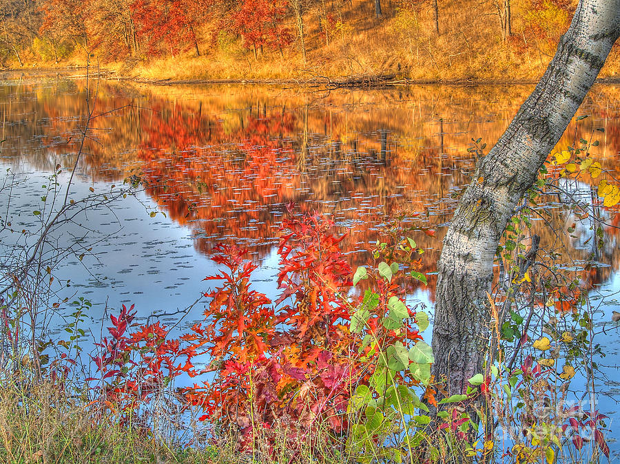 Reflections of Autumn VI Photograph by Jimmy Ostgard